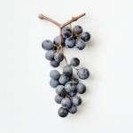 Druiven Druiven